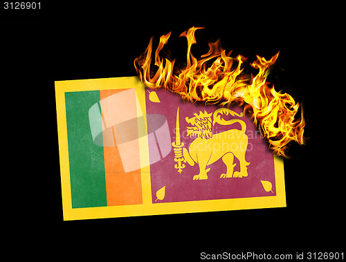 Image of Flag burning - Sri Lanka