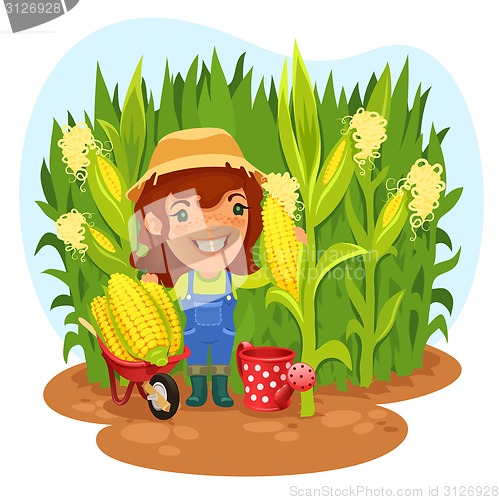 Image of Harvesting Female Farmer In a Cornfield