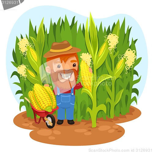 Image of Harvesting Farmer In a Cornfield