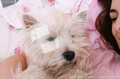 Image of Dog sleeping on bed 