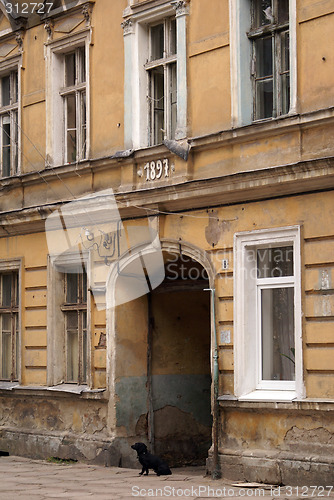 Image of Dog and house