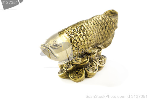 Image of Gold fish-dragon.