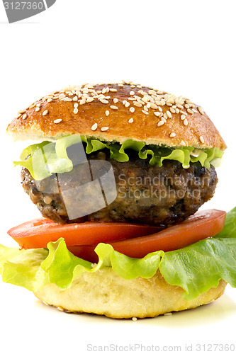 Image of Homemade hamburger.