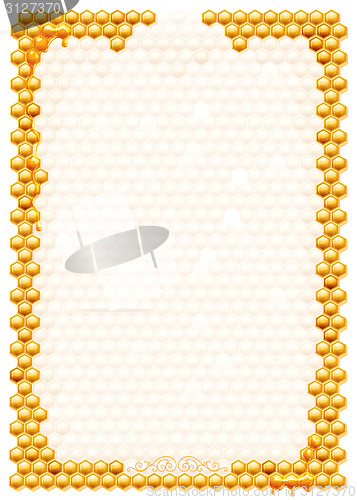 Image of Frame with bee honeycombs