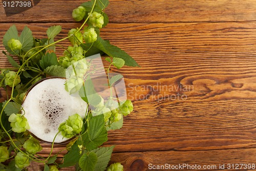 Image of Pint and hop plant