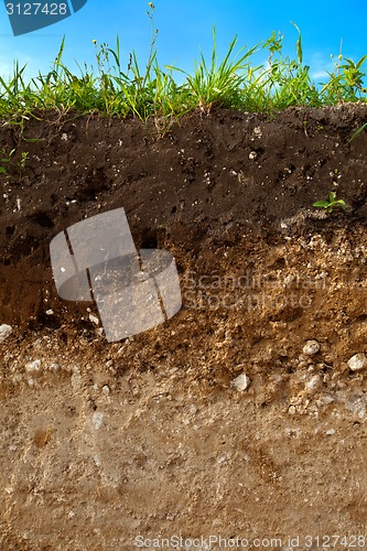 Image of A cut of soil