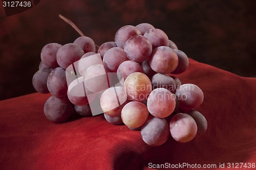 Image of Branch of red grapes