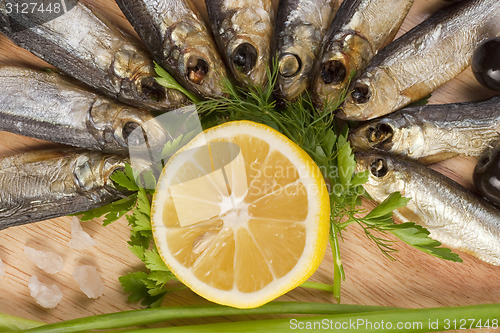 Image of A composition with clupea herring