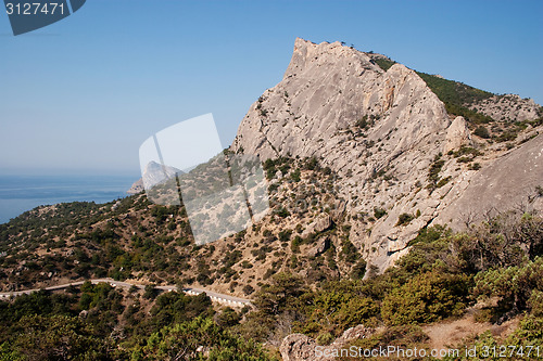 Image of Mountain spine