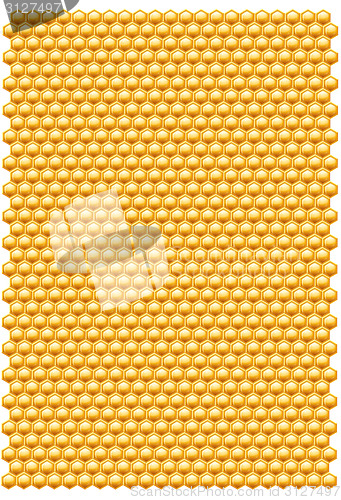 Image of Bee honeycombs pattern