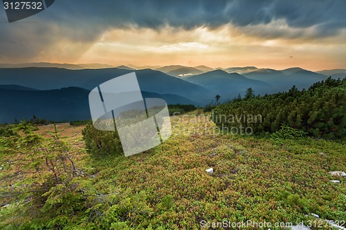 Image of Carpathians mountains