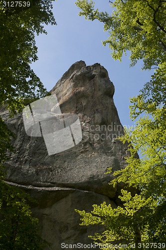 Image of Ancient rock