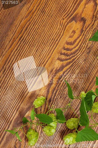 Image of Hop plant on a wooden table