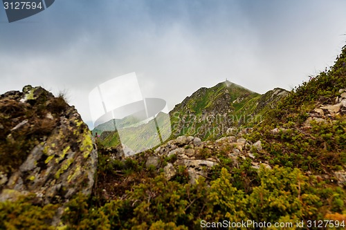 Image of Carpathian mountains