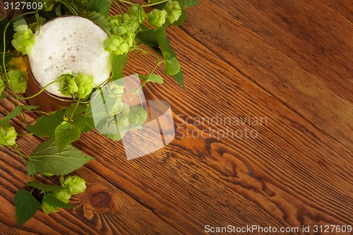 Image of Pint and hop plant