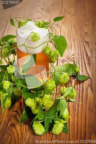 Image of Pint and hop plant