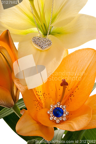 Image of Lilies bloom with luxury