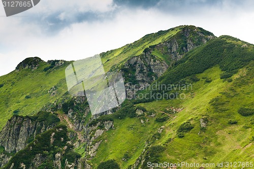 Image of Carpathian mountains