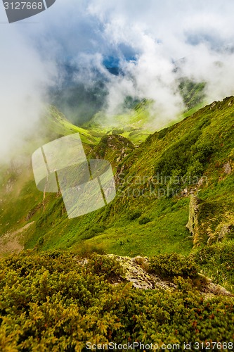 Image of Carpathian mountains