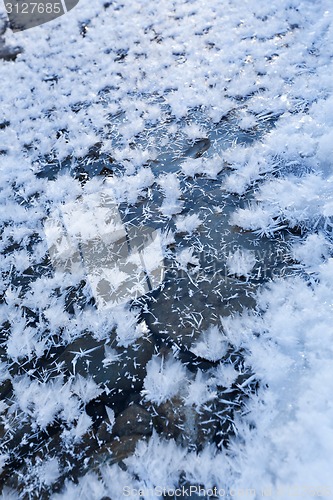 Image of Icy snowflakes