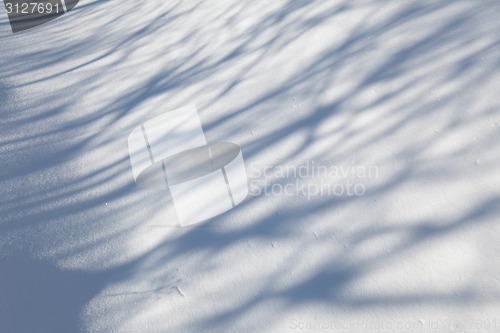 Image of Snow carpet