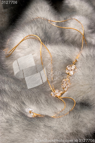 Image of Beautiful chain on fur