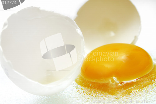 Image of Broken Egg