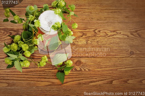 Image of Pint and hop plant