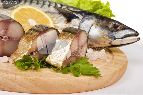 Image of A composition with mackerel fish