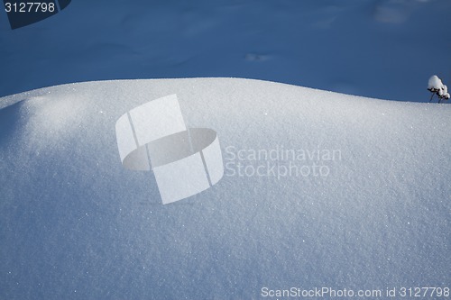 Image of Snow carpet