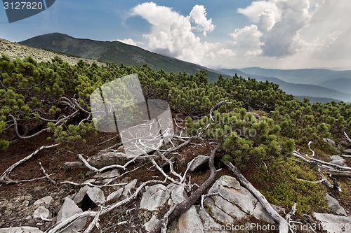 Image of Carpathians mountains