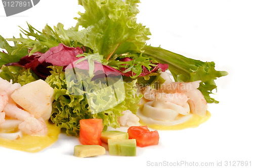 Image of Prawn salad
