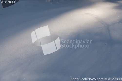 Image of Snow carpet