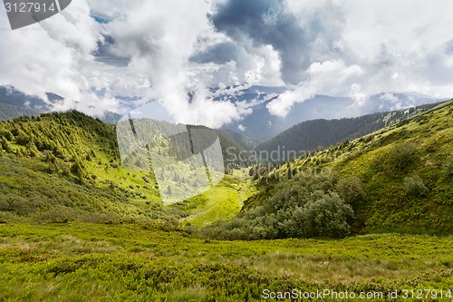 Image of Carpathian mountains