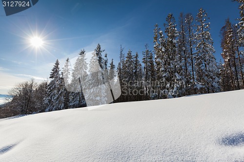Image of Carpathian mountains
