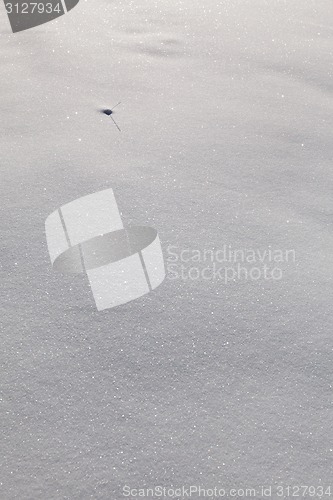 Image of Snow carpet