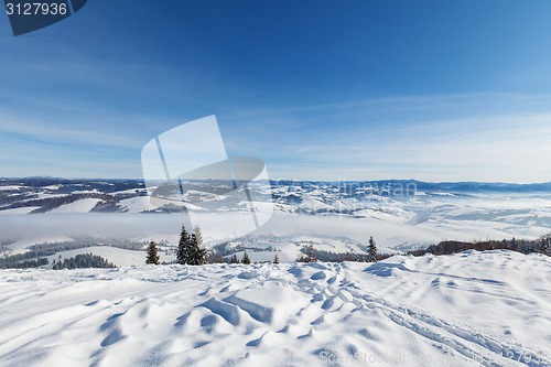 Image of Carpathian mountains