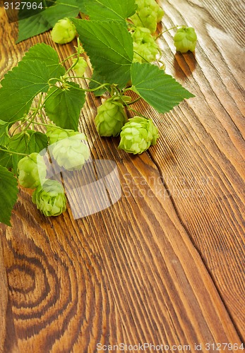 Image of Hop plant on a wooden table