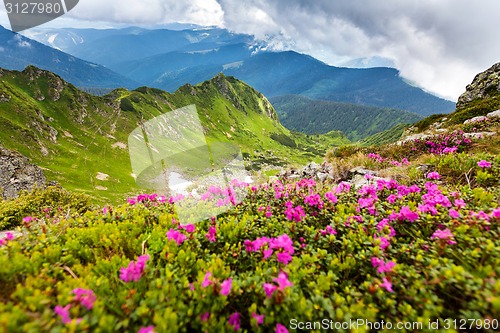 Image of Carpathian mountains