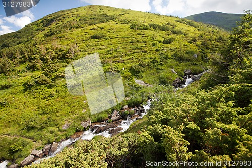 Image of Stream in mountains
