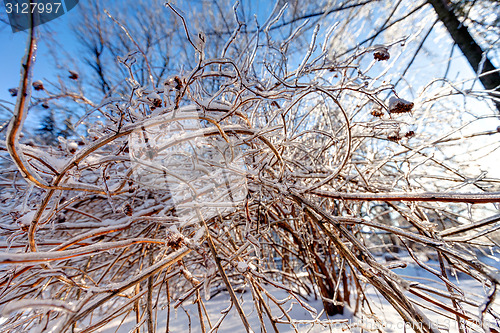 Image of Icy landscape