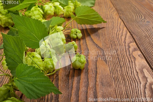 Image of Hop plant on a wooden table