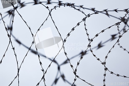 Image of Barbed Wire