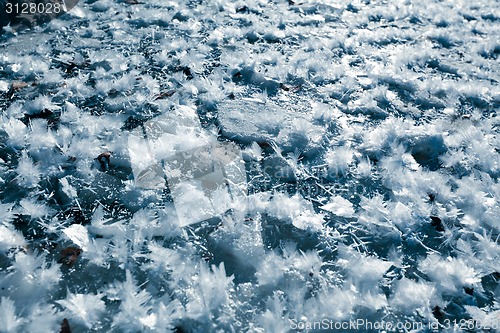 Image of Icy snowflakes