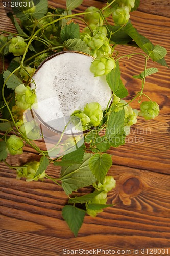 Image of Pint and hop plant