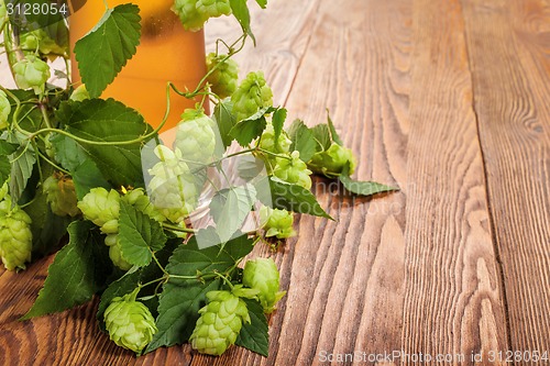 Image of Pint and hop plant
