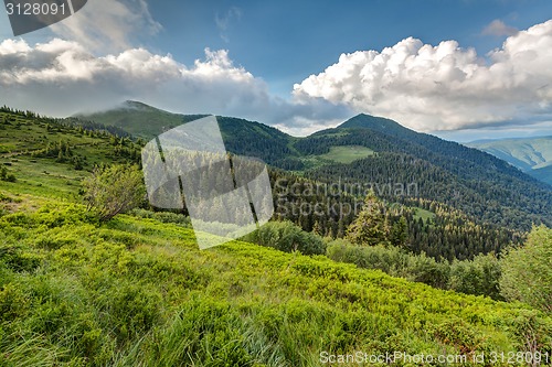 Image of Carpathian mountains