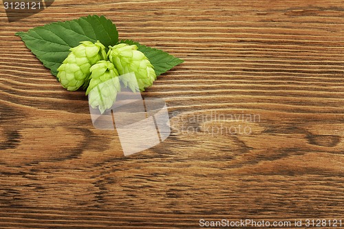 Image of Hop plant on a wooden table