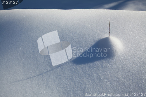 Image of Snow carpet