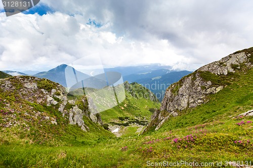 Image of Carpathian mountains